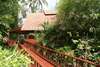 Coconut Grove 